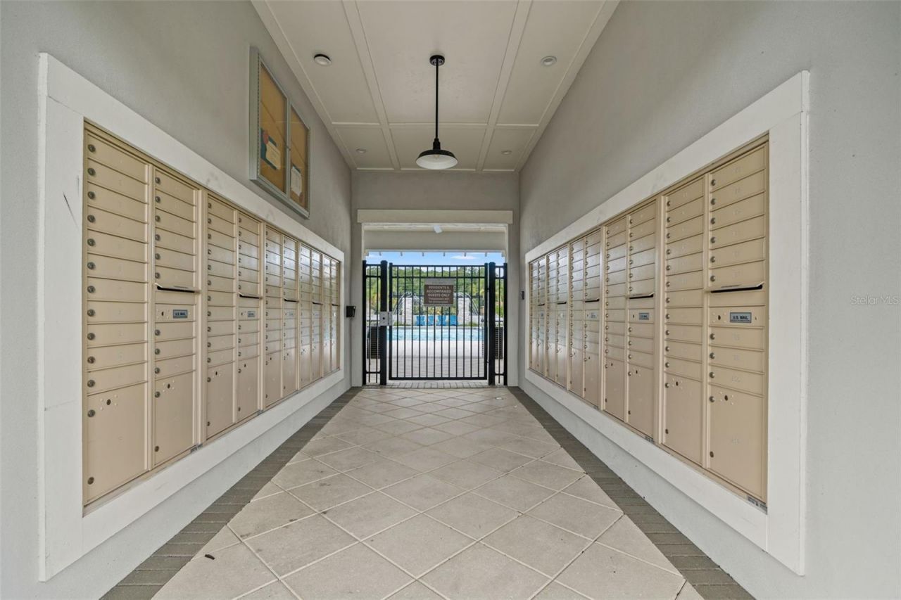 26069 Woven Wicker Bend, Lutz, FL 33559 Photo