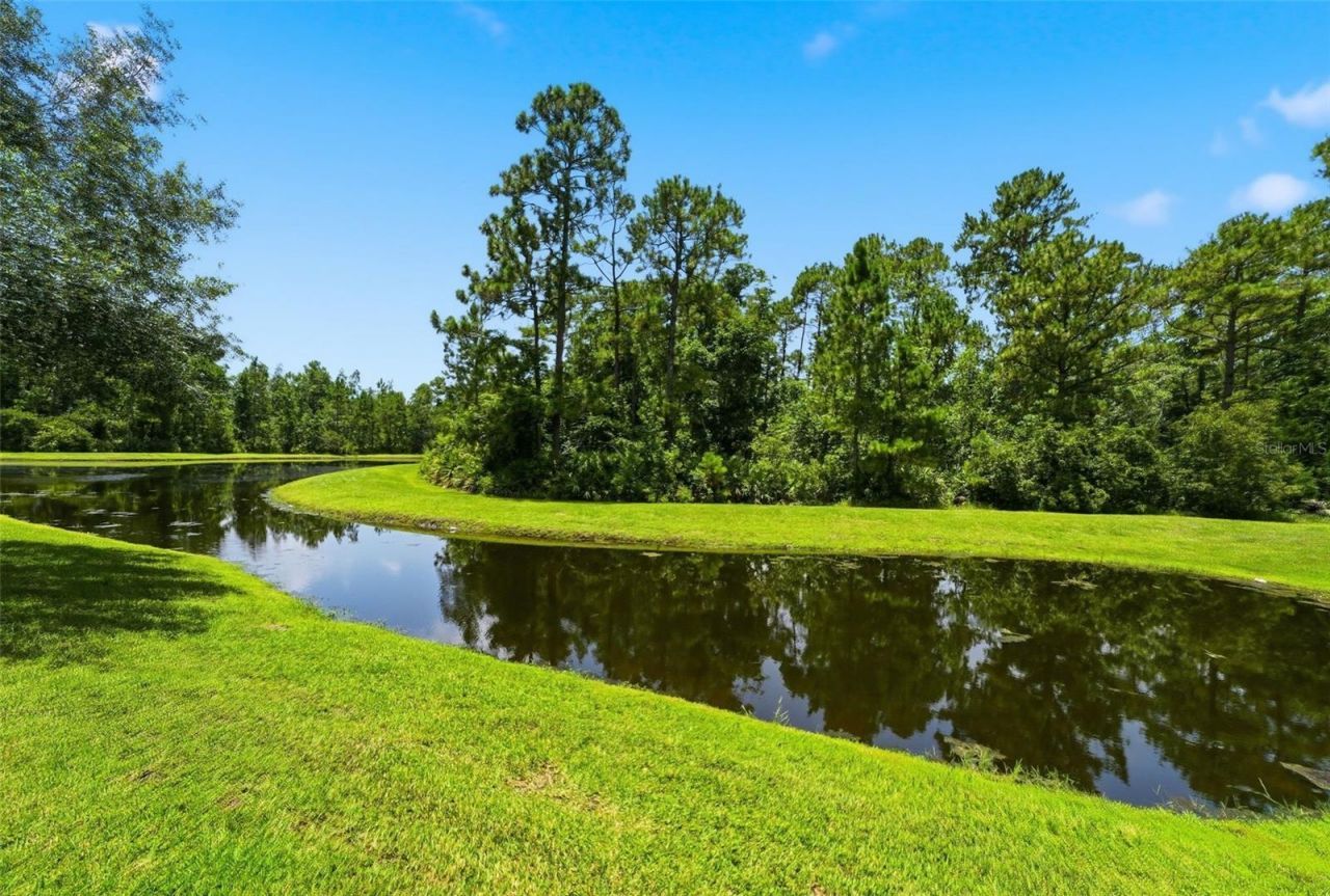 3894 Safflower Terrace, Oviedo, FL 32766 Photo