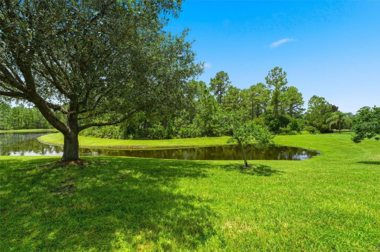 3894 Safflower Terrace, Oviedo, FL 32766 Photo