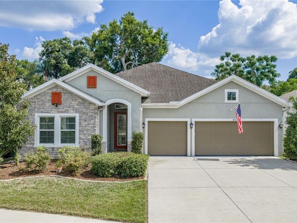1017 TRACEY ANN LOOP , SEFFNER, FL 33584