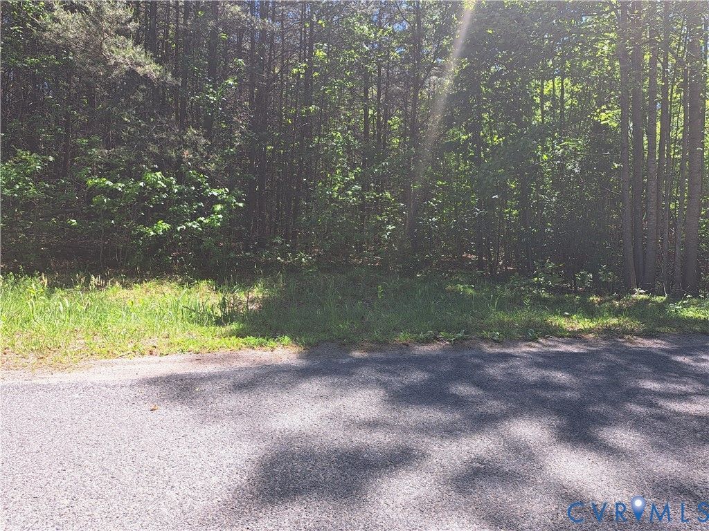 0 Riddles Bridge Road, Goochland, VA 23063 Main Photo