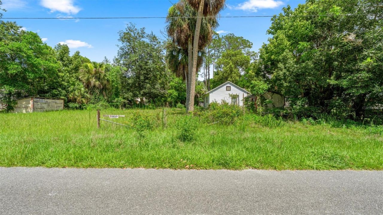 10085 Plum Street, Hampton, FL 32044 Photo