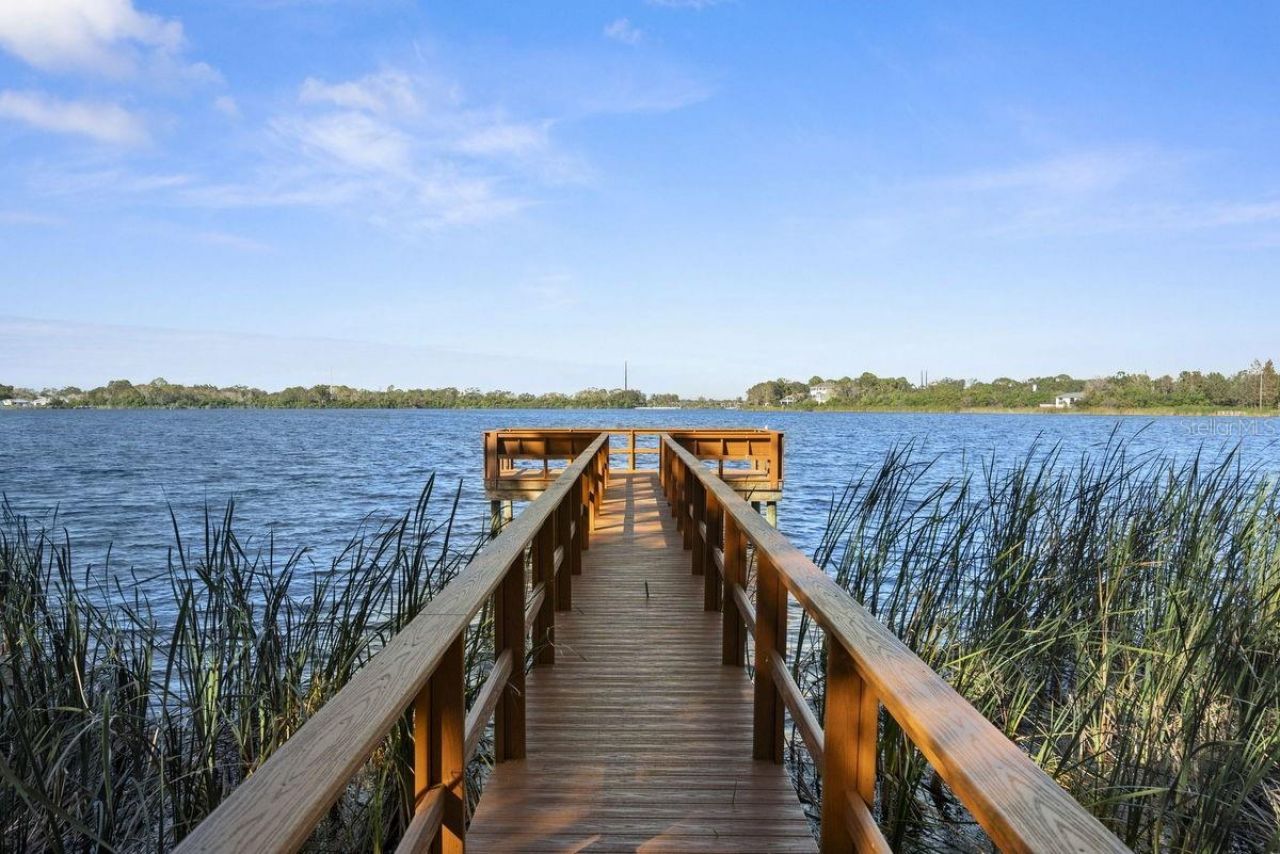 648 Spring Lake Circle, Tarpon Springs, FL 34688 Photo