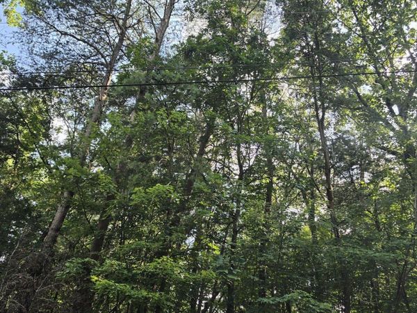 0 Dogwood , Dunlap, TN 37327