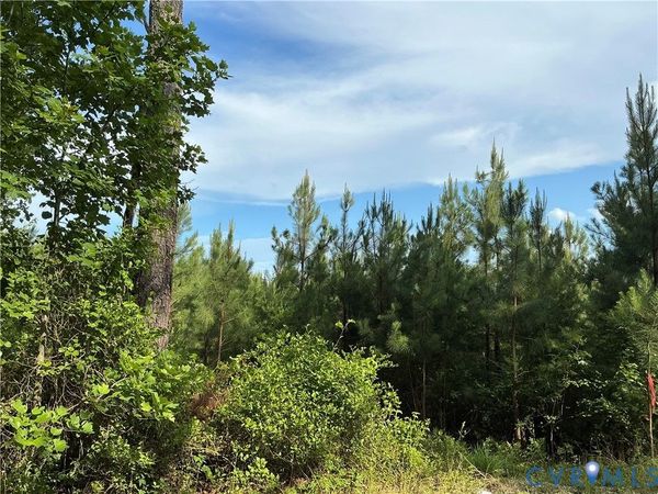 0 FORTUNE (48 Acres) Drive , Bowling Green, VA 22514