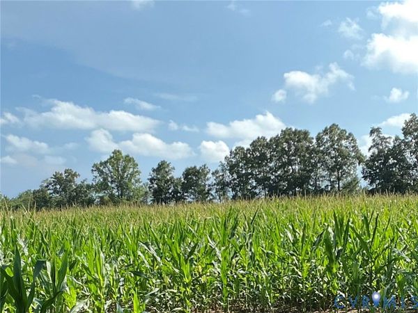 00 FORTUNE (30 ACRES) Drive , Bowling Green, VA 22514