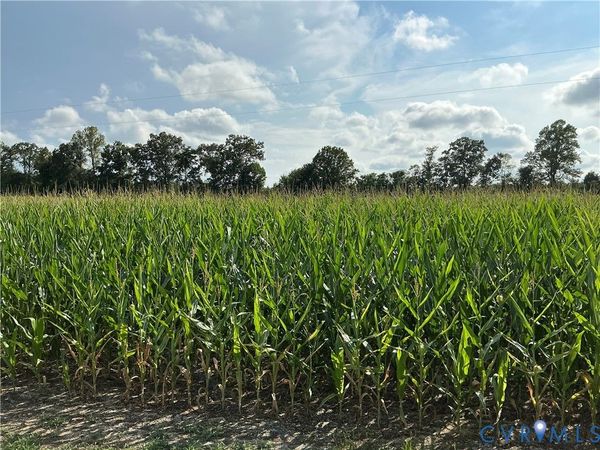 000 FORTUNE (3 ACRES) Drive , Bowling Green, VA 22514