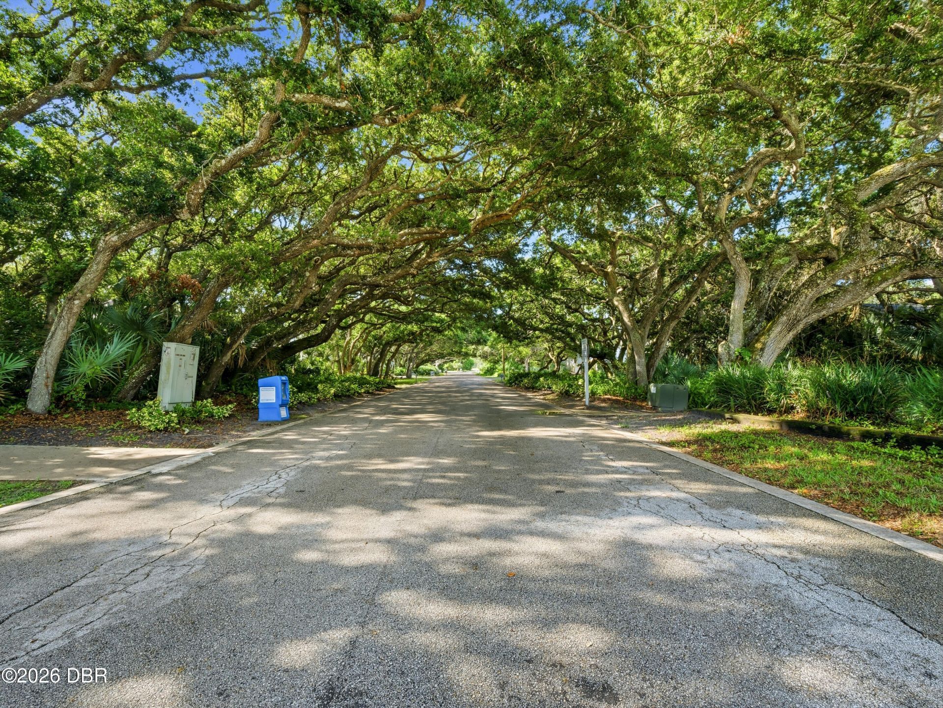 4438 Sea Mist Drive, New Smyrna Beach, FL 32169 Photo