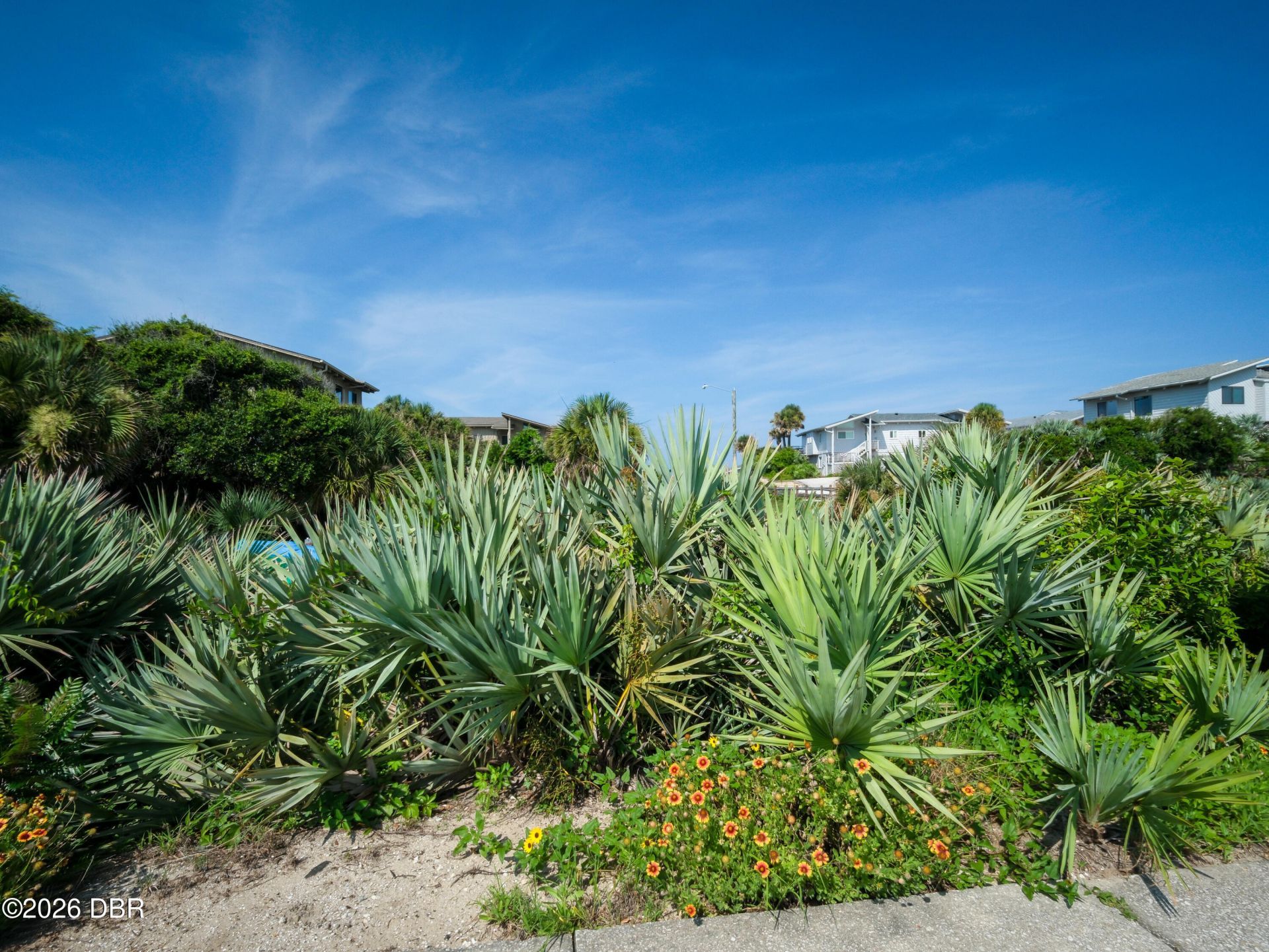 4438 Sea Mist Drive, New Smyrna Beach, FL 32169 Photo