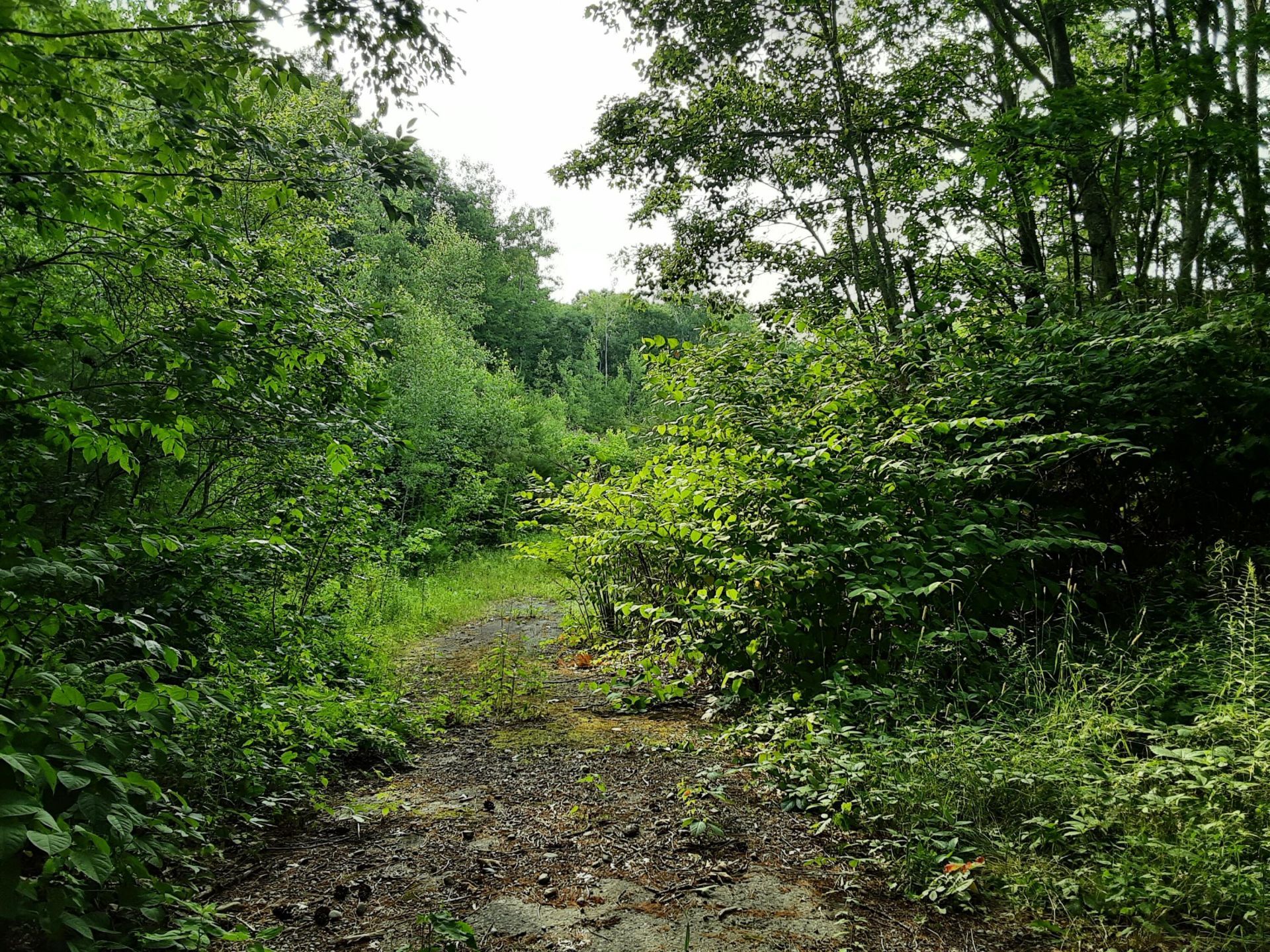 Lot 2 Ridge Road, Jefferson, ME 04348 Main Photo