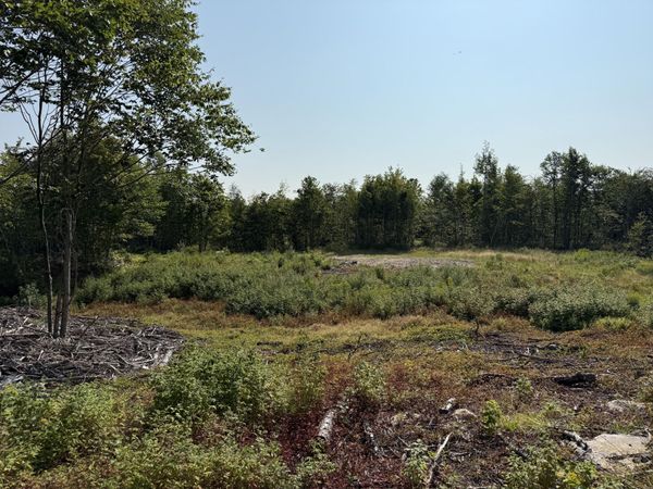TBD Oak Mountain Road, Springfield, ME 04487