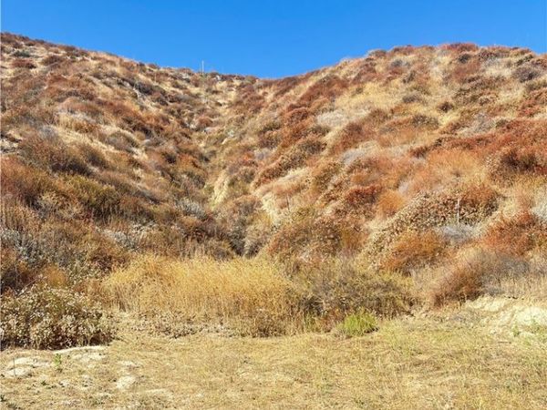 0 Pinedale Place, Val Verde, CA 91384