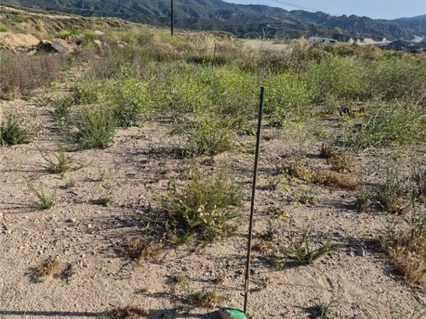 0 2833028006, Newhall, CA 91321