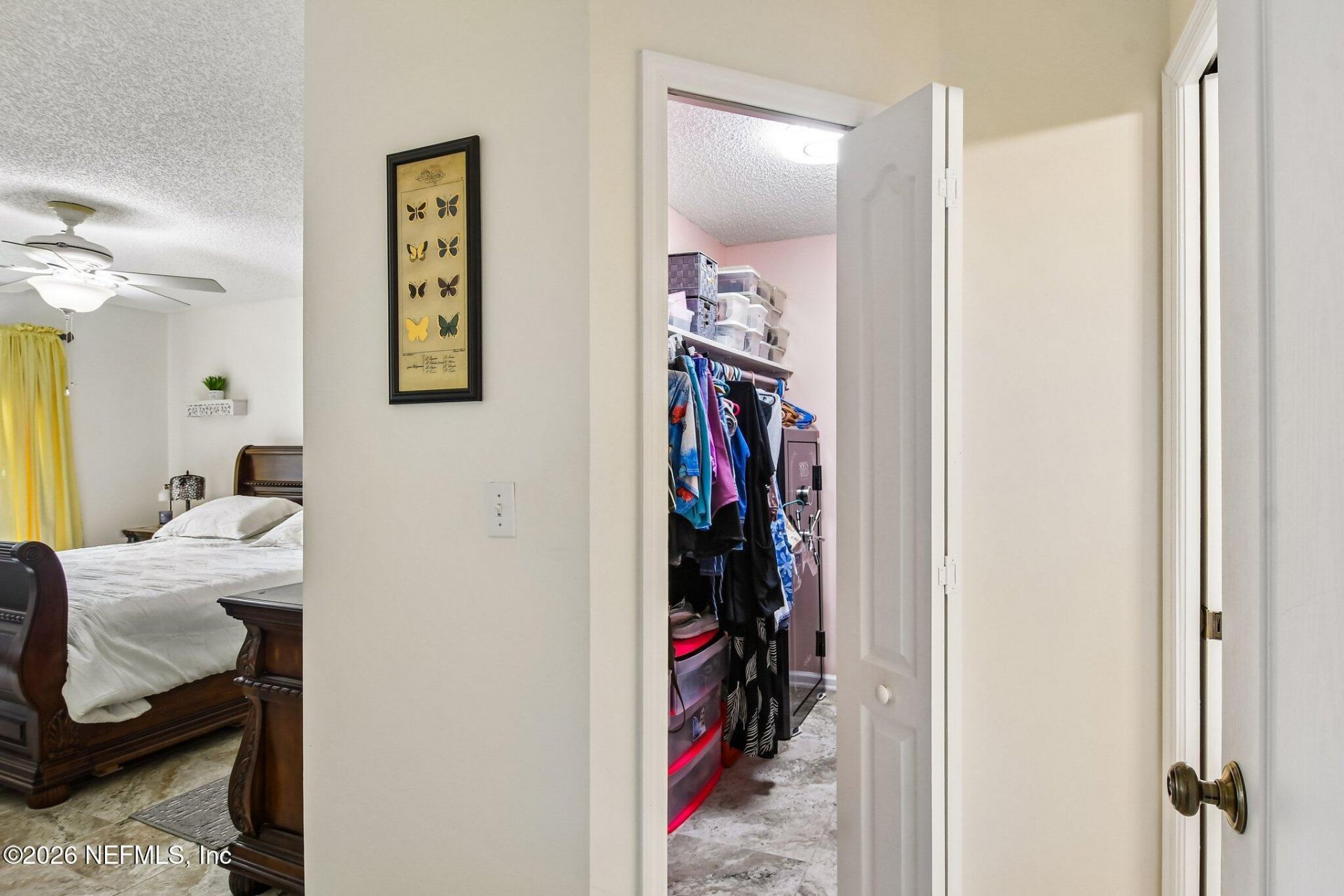 9314 Bruntsfield Drive, Jacksonville, FL 32244 Photo