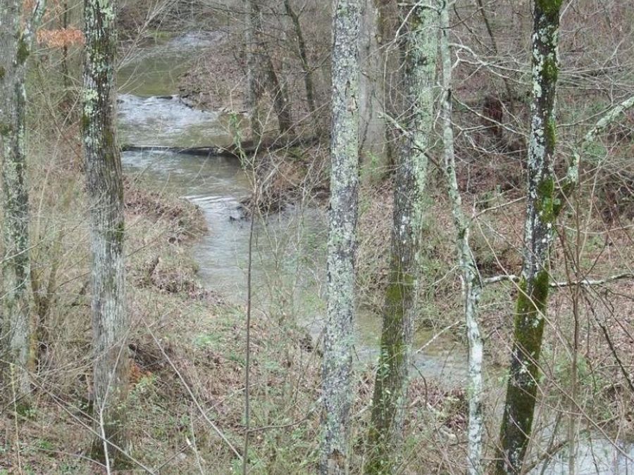 Property Image 6