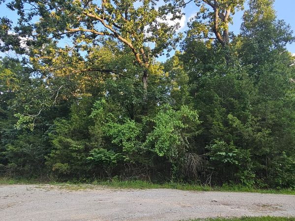 000 Morningview , Merriam Woods, MO 65740