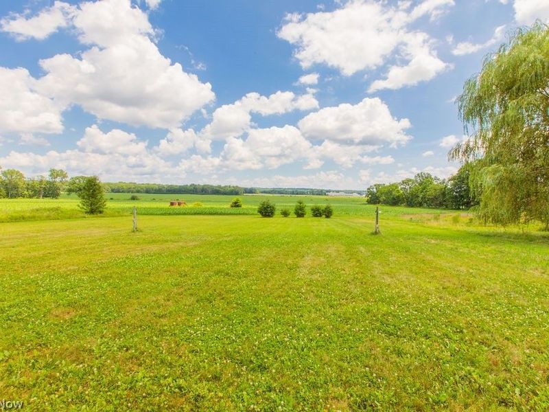 9503 Mennonite Road, Wadsworth, OH 44281 Photo 15