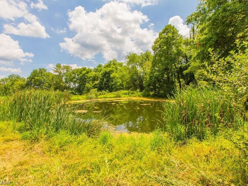 9503 Mennonite Road, Wadsworth, OH 44281 Photo 17