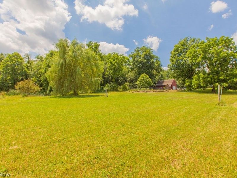 9503 Mennonite Road, Wadsworth, OH 44281 Photo 18