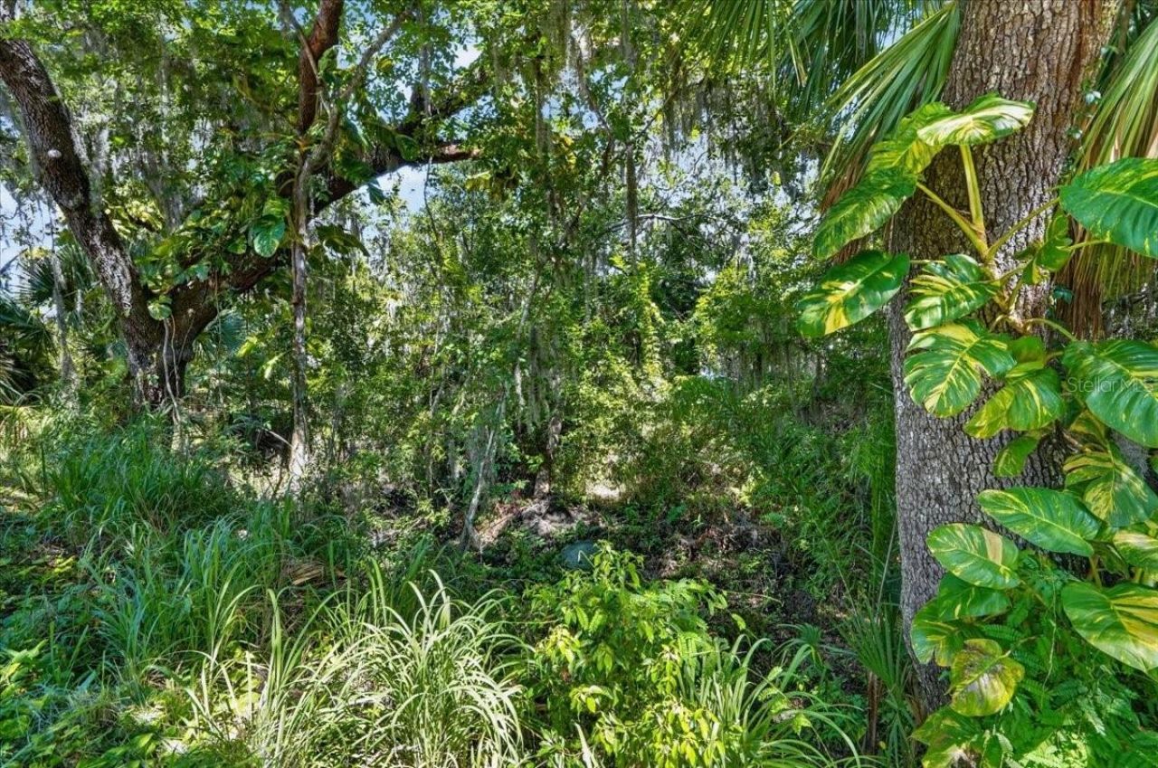 11740 Darsey Road, Parrish, FL 34219 Photo