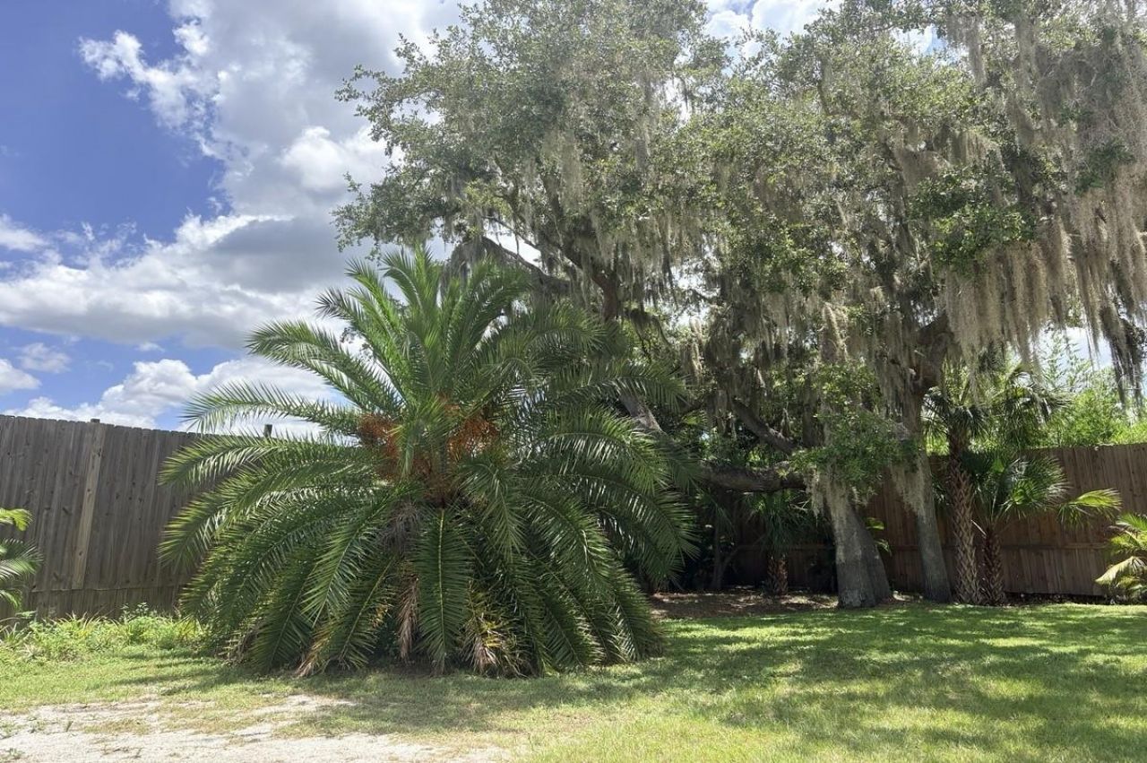 11740 Darsey Road, Parrish, FL 34219 Photo