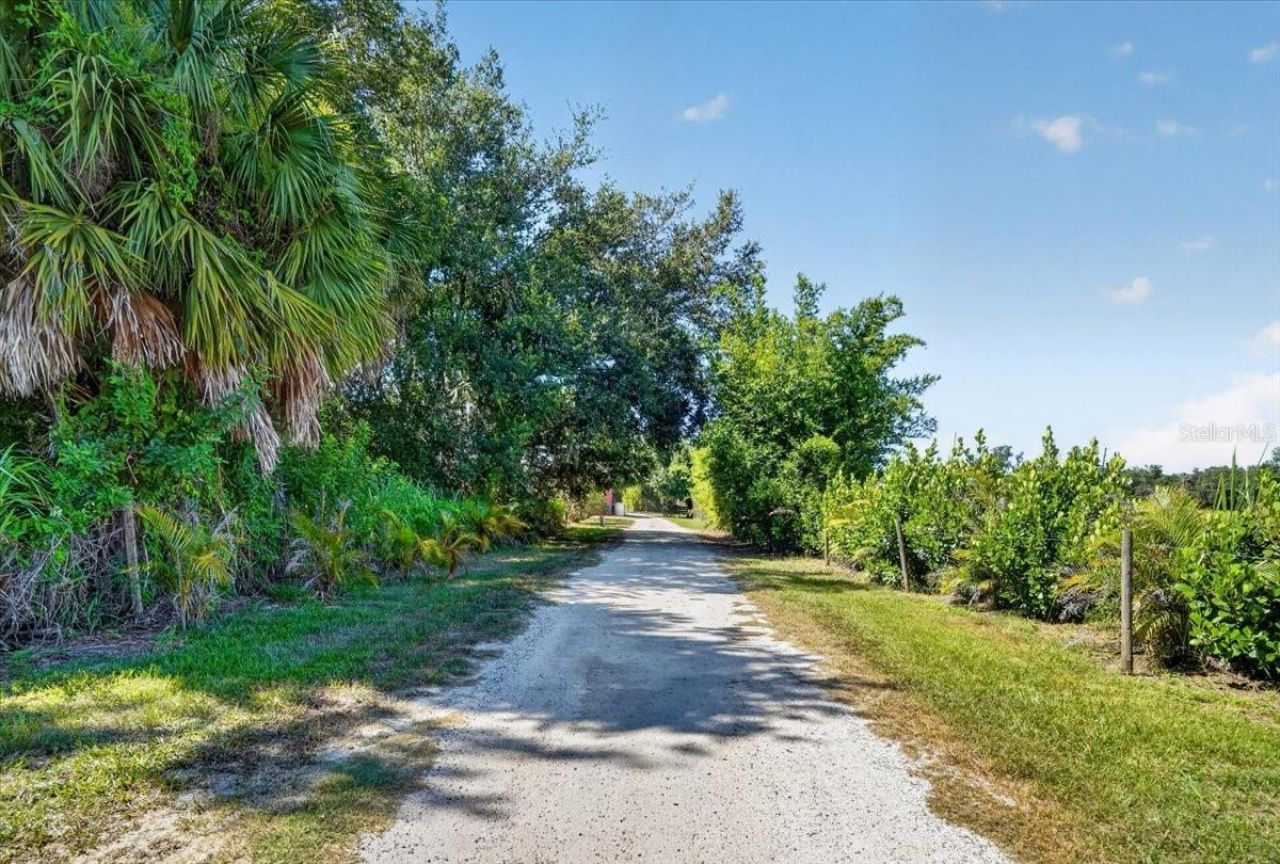 11740 Darsey Road, Parrish, FL 34219 Photo