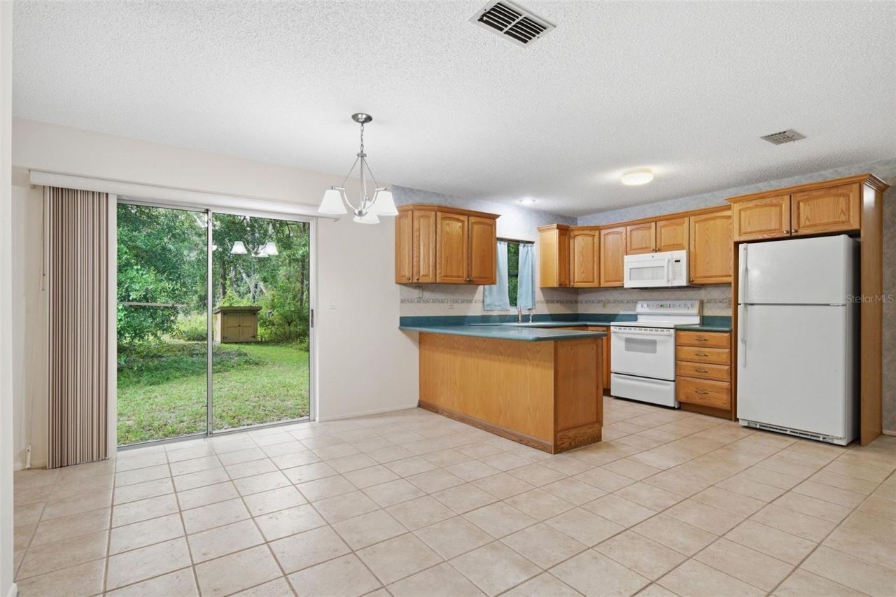 9955 S Forestline Avenue , Inverness, FL 34452 Photo