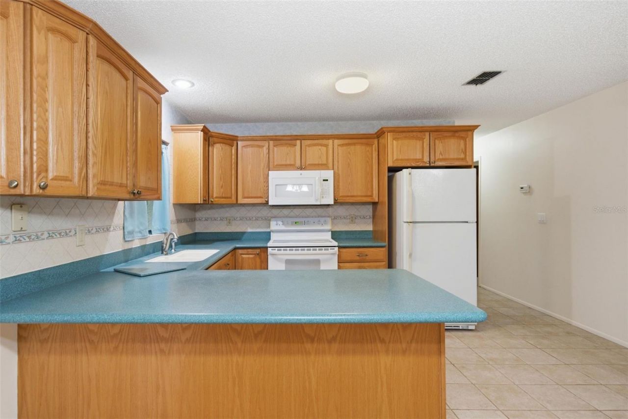 9955 S Forestline Avenue , Inverness, FL 34452 Photo