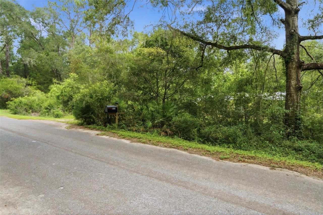 9955 S Forestline Avenue , Inverness, FL 34452 Photo