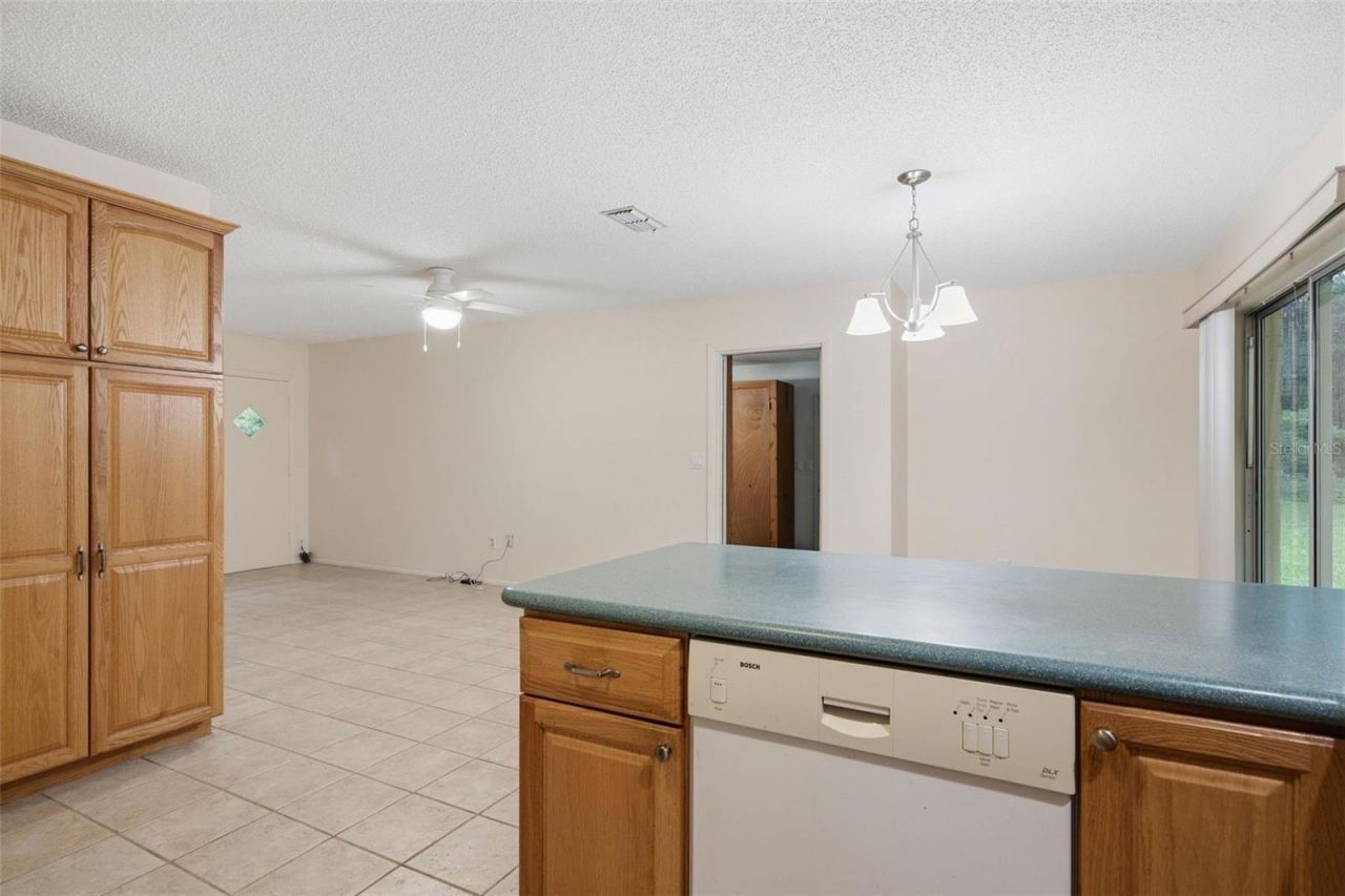 9955 S Forestline Avenue , Inverness, FL 34452 Photo