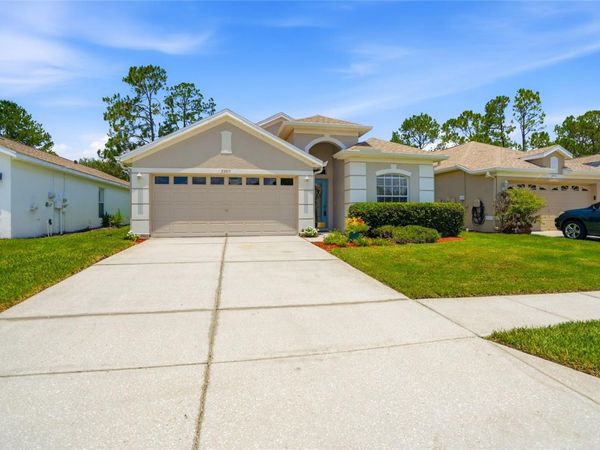 23915 CORAL RIDGE LANE , LAND O LAKES, FL 34639