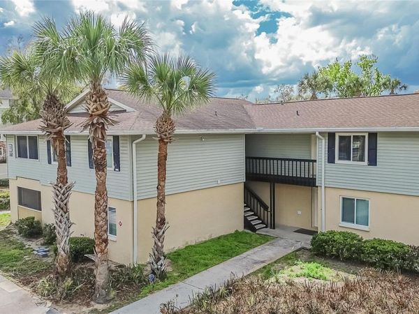 202 RED MAPLE PLACE , Unit 202, BRANDON, FL 33510