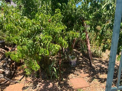 215 E Sierra View Dr, Jackson, CA 95642 Photo