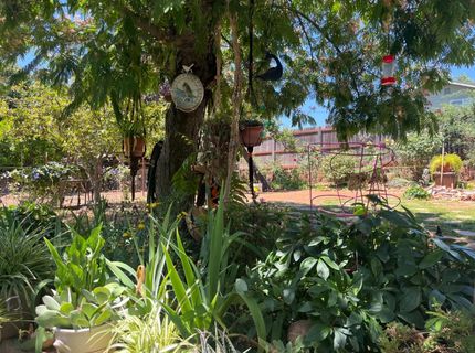 215 E Sierra View Dr, Jackson, CA 95642 Photo