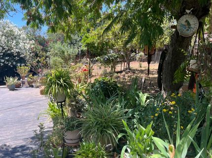 215 E Sierra View Dr, Jackson, CA 95642 Photo