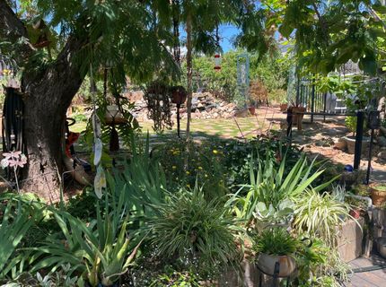 215 E Sierra View Dr, Jackson, CA 95642 Photo