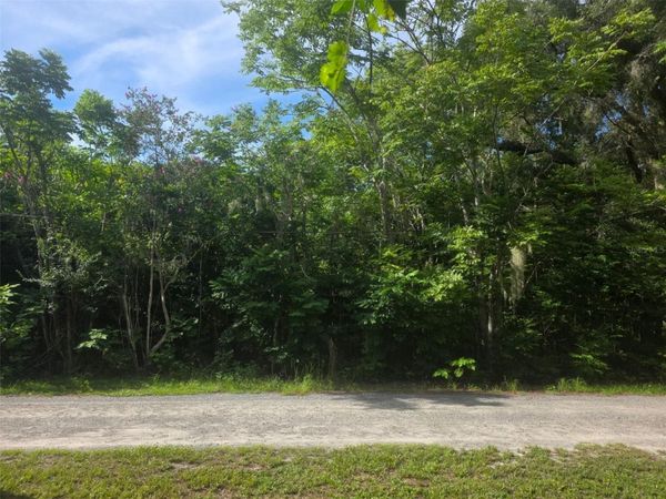 6601 SE 119TH STREET , BELLEVIEW, FL 34420