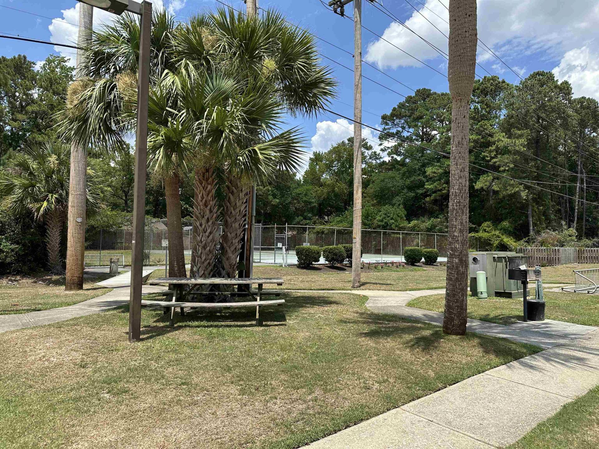 10301 N Kings Hwy. Photo 32