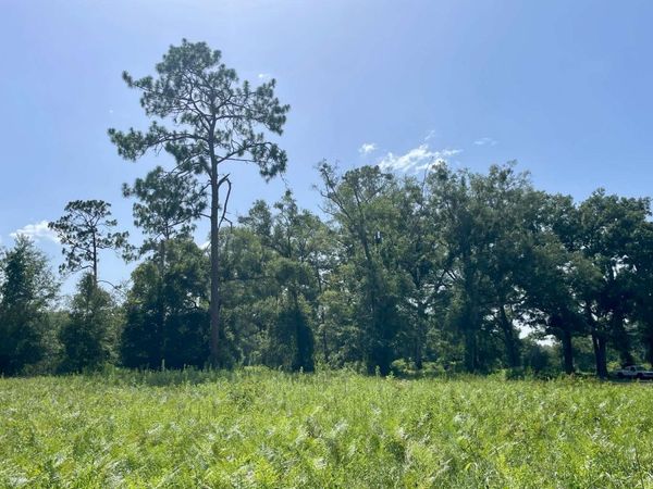 000 99TH DR, McAlpin, FL 32062