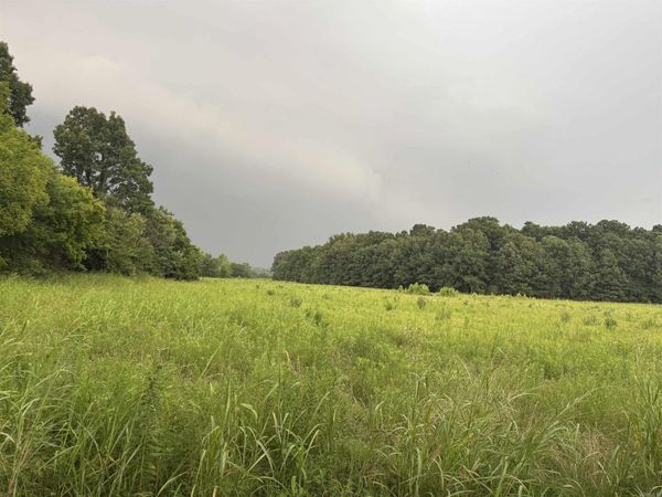000 County Road 352 , Piggott, AR 72454