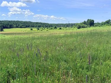 L19 N Pond Road, Guilford, NY 13780