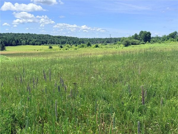 L19 N Pond Road, Guilford, NY 13780