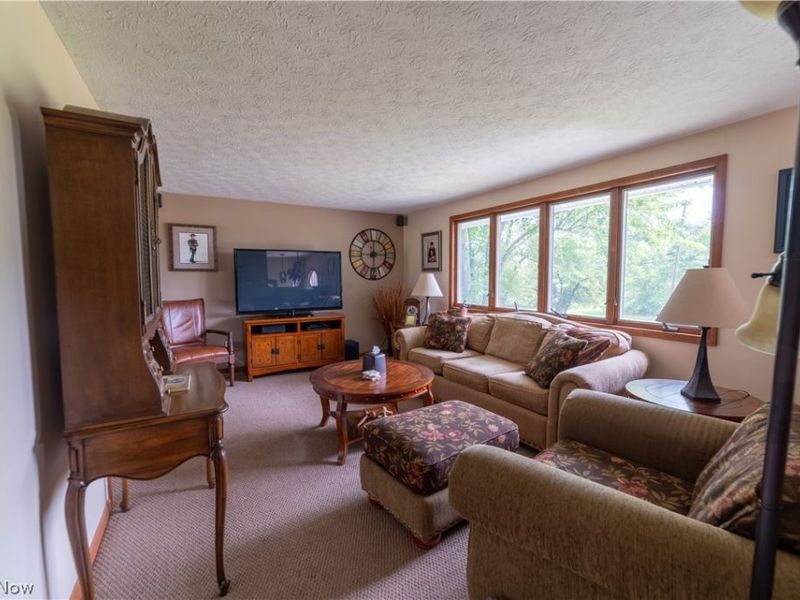 6590 Duck Creek Road, Berlin Center, OH 44401 Photo 6