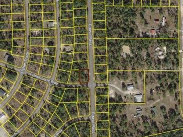 BLK 1222 LOT 14 FISHER LANE WAY , OCKLAWAHA, FL 32179