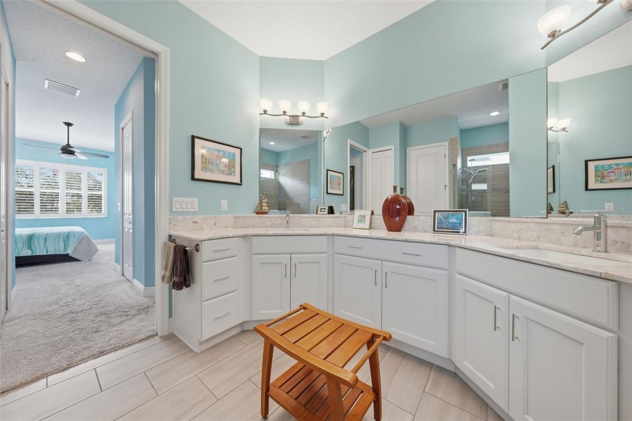 8707 Providence Ct , Mount Dora, FL 32757 Photo
