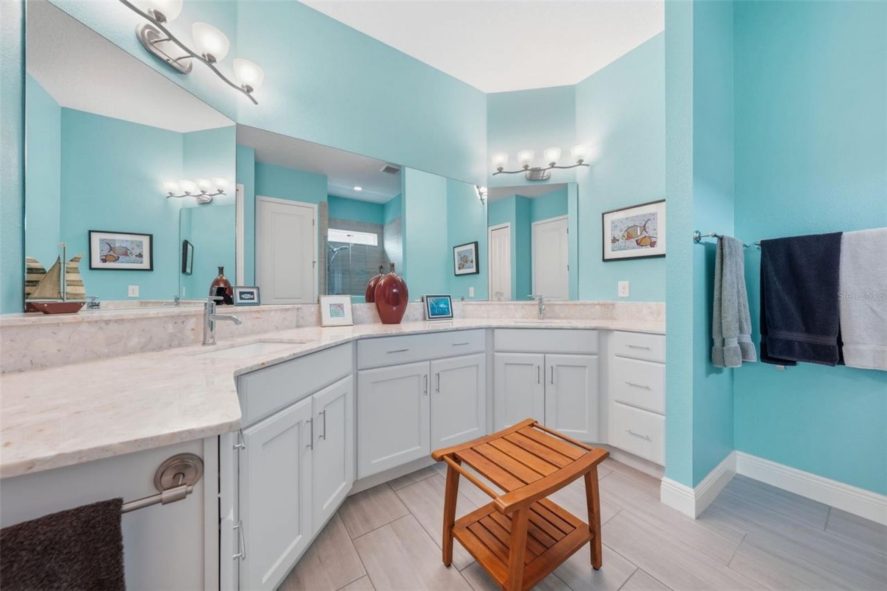 8707 Providence Ct , Mount Dora, FL 32757 Photo