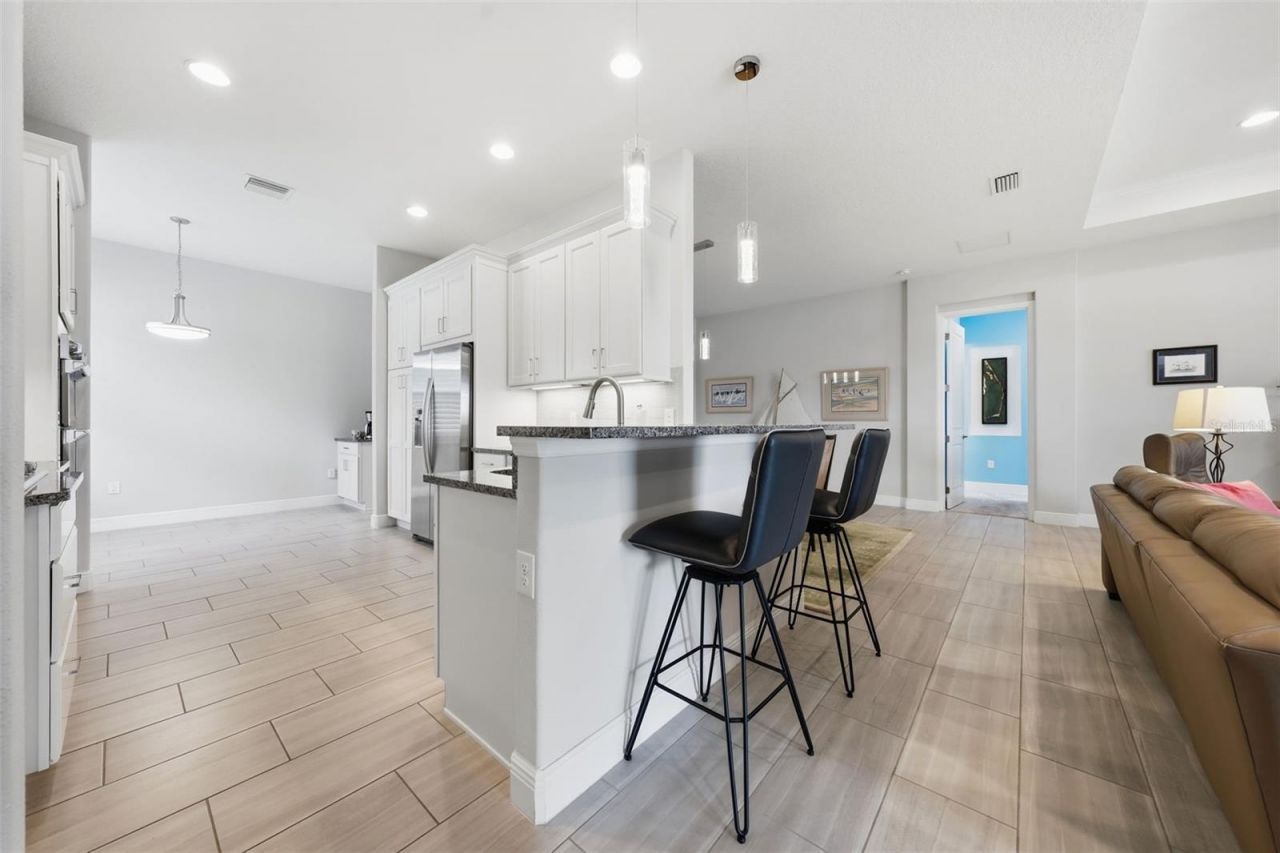 8707 Providence Ct , Mount Dora, FL 32757 Photo