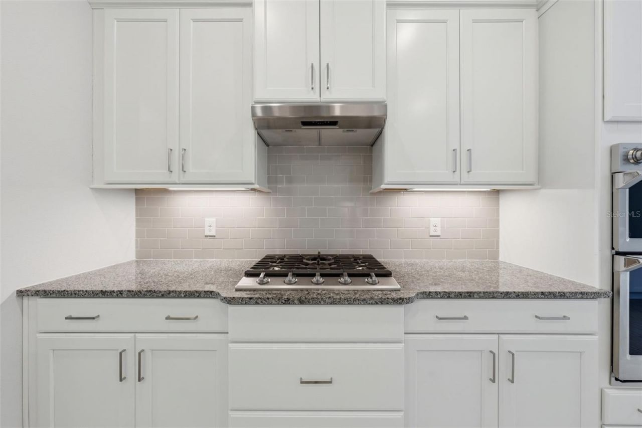 8707 Providence Ct , Mount Dora, FL 32757 Photo