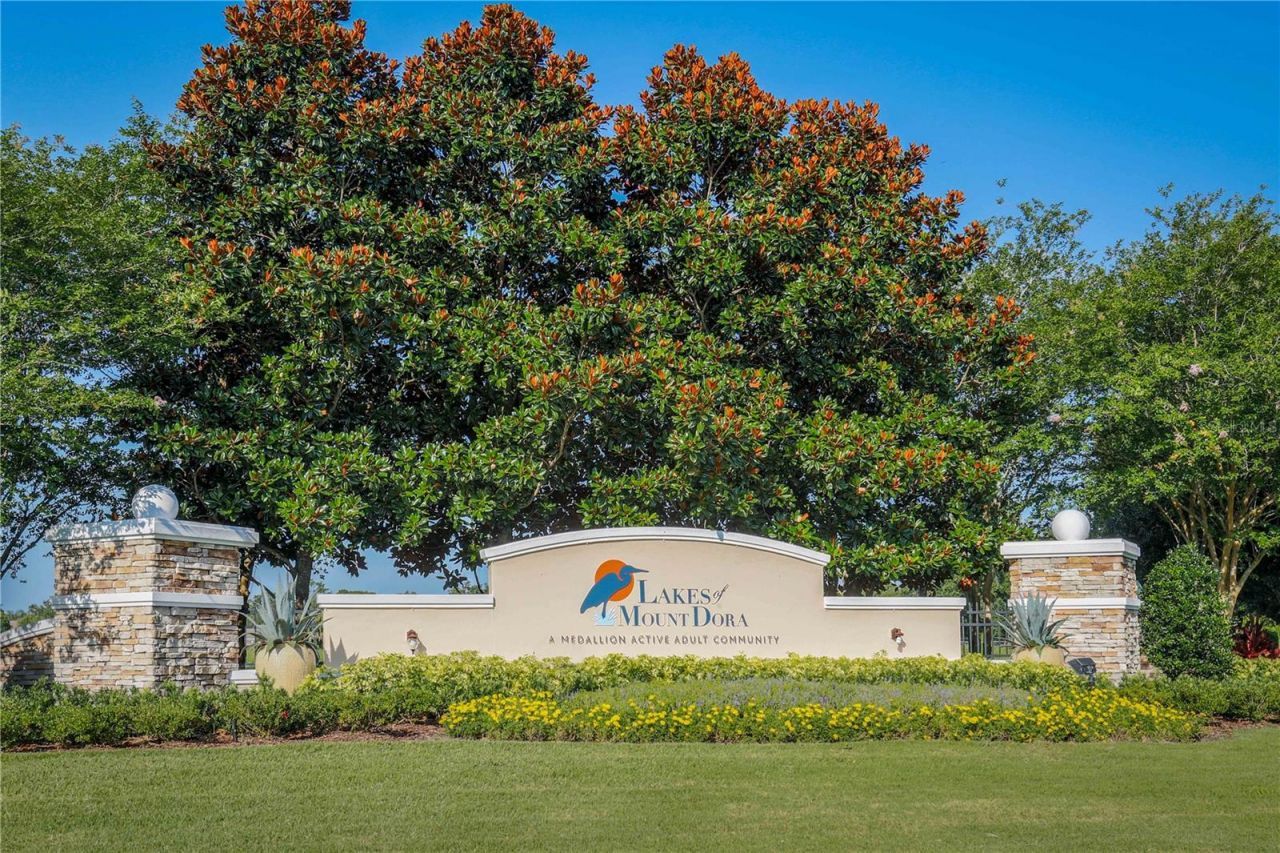 8707 Providence Ct , Mount Dora, FL 32757 Photo