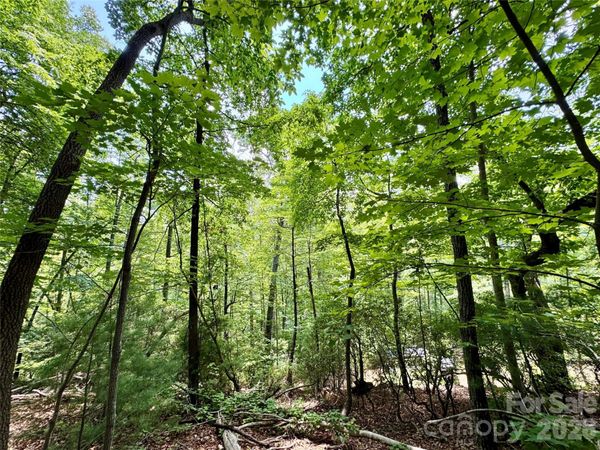 35+ acres - Lot 23 Bear Track Lane, Lenoir, NC 28645